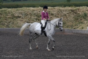 ISIS Dressage Challenge 2008